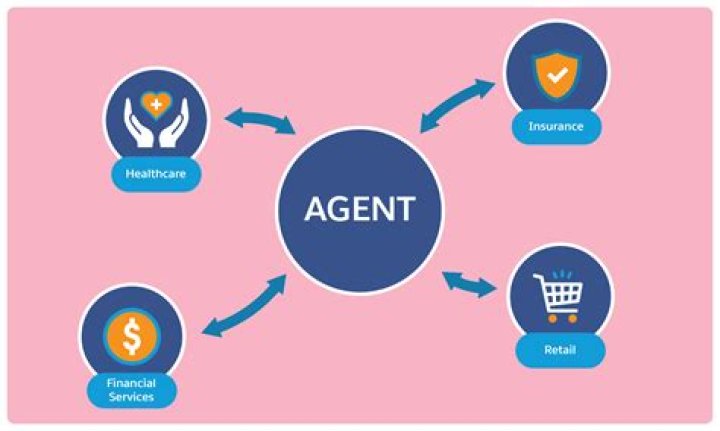 What is the difference between agent and merchant?