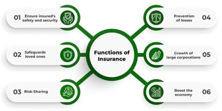 What is the difference between an insurance contract and an insurance policy?