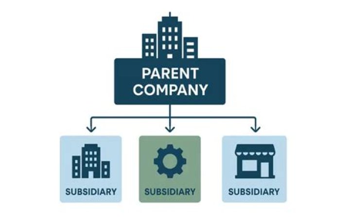 What is the difference between parent and subsidiary company?