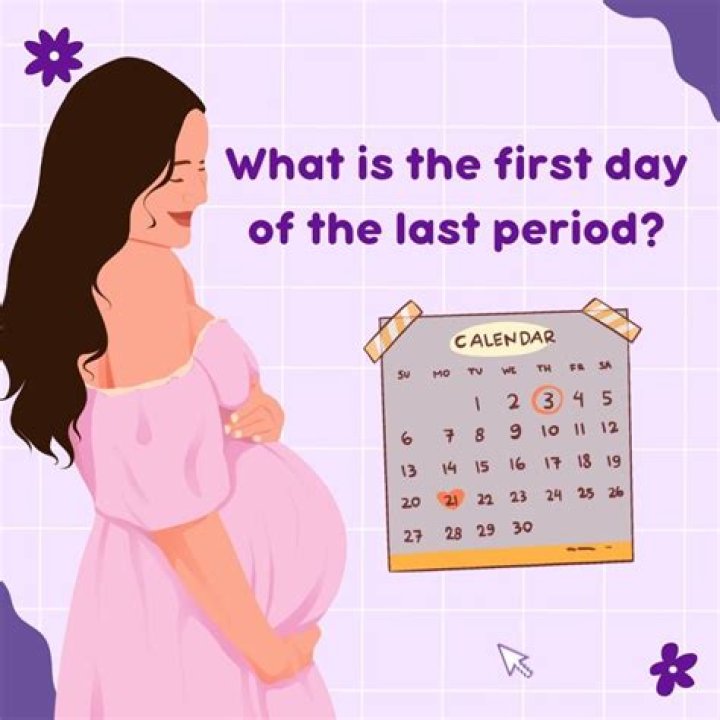 What is the due date of Pt return?