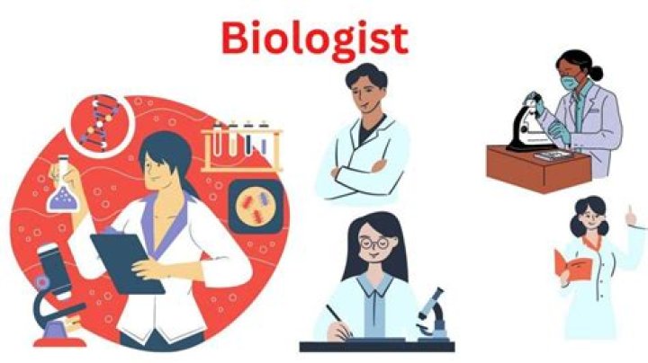 What is the duty of biologist?