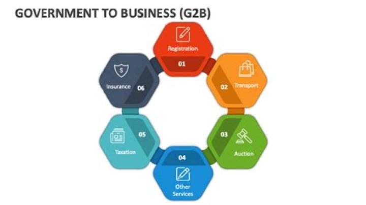 What is the example of government to business e governance?