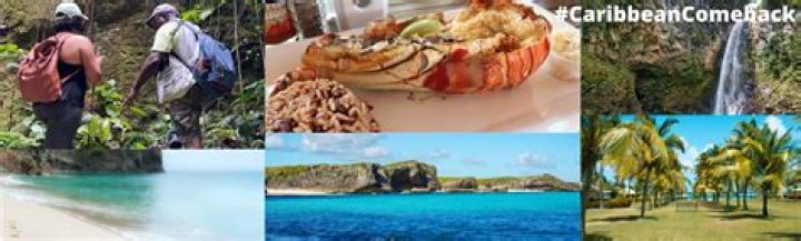 What is the function of the Caribbean Tourism Organization?