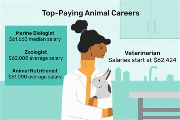 What is the highest paying Animal job?