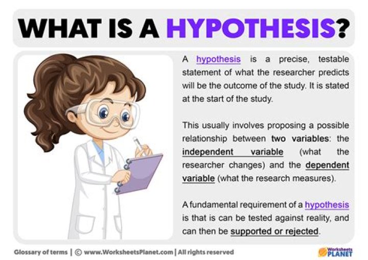 What is the hypothesis?