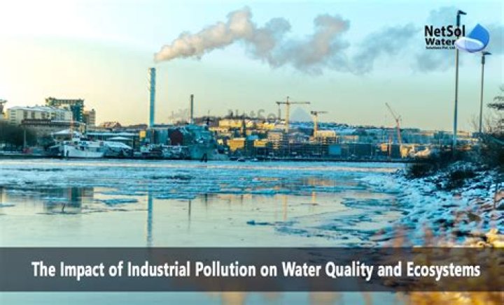 What is the impact of industry on environment?
