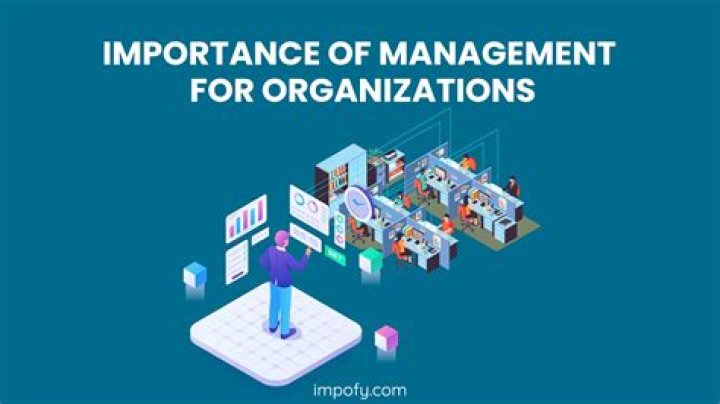What is the importance of an organization?