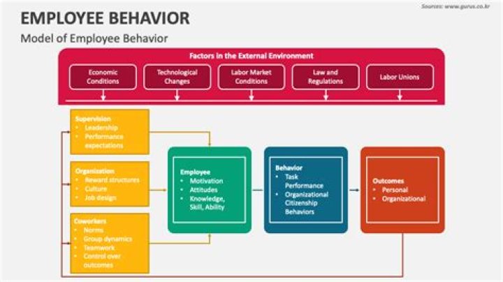 What is the importance of employee behavior?