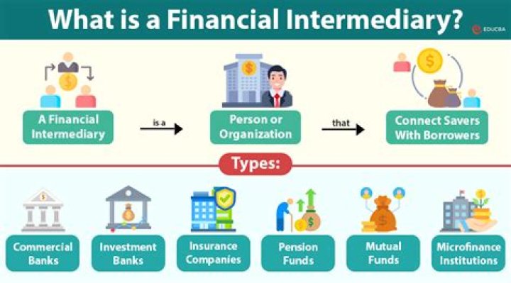 What is the importance of financial intermediaries in our financial system?