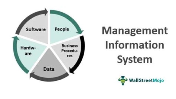 What is the importance of information needs and objectives for MIS system?