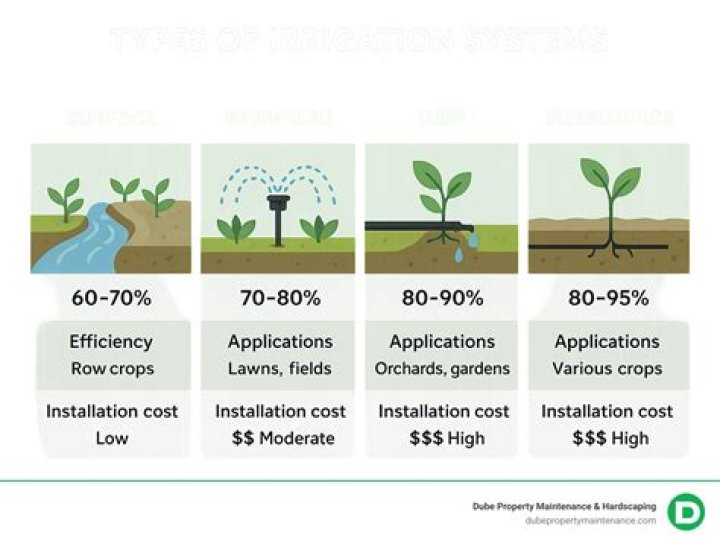 What is the importance of irrigation for Class 8?