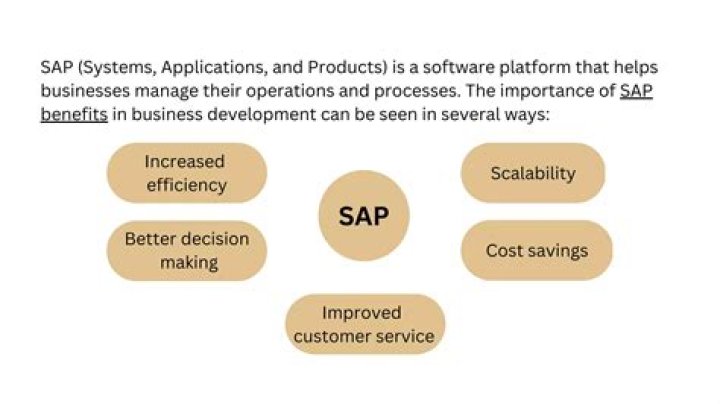 What is the importance of SAP system in business?