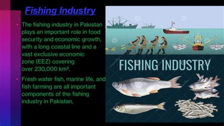 What is the importance of the fishing industry?