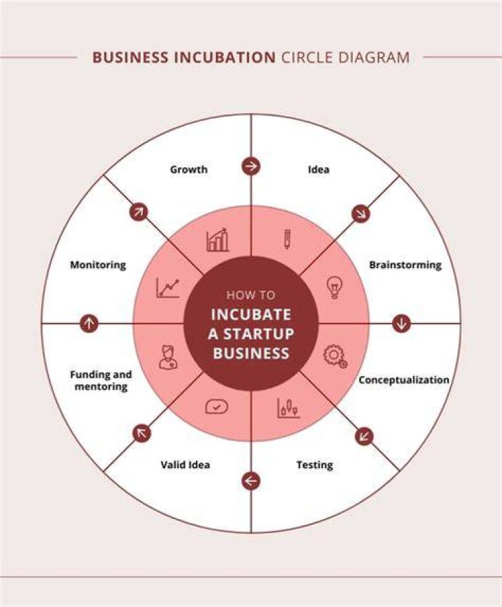 What is the incubation stage of a business?