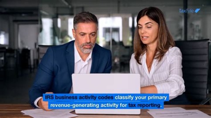 What is the IRS business Code for interpreter?