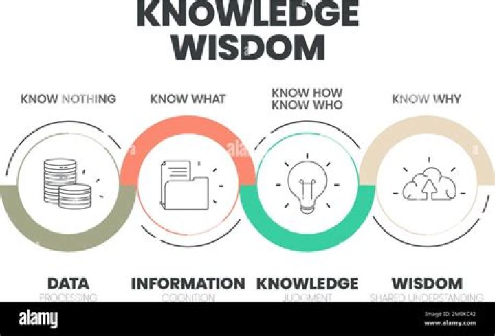 What is the knowledge age?