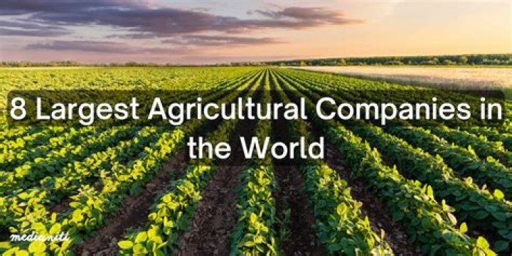 What is the largest agricultural industry in the world?