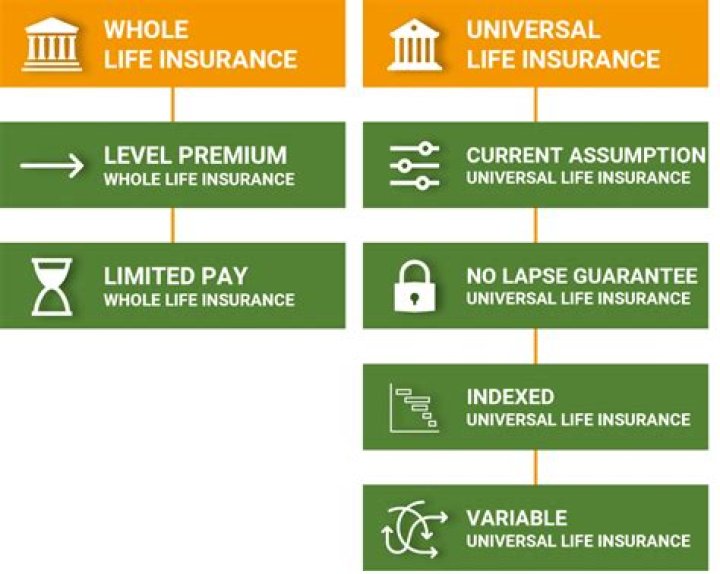 What is the loan provision in life insurance policies?