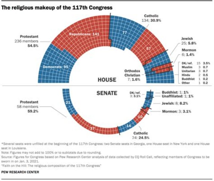 What is the makeup of the 117th Congress?