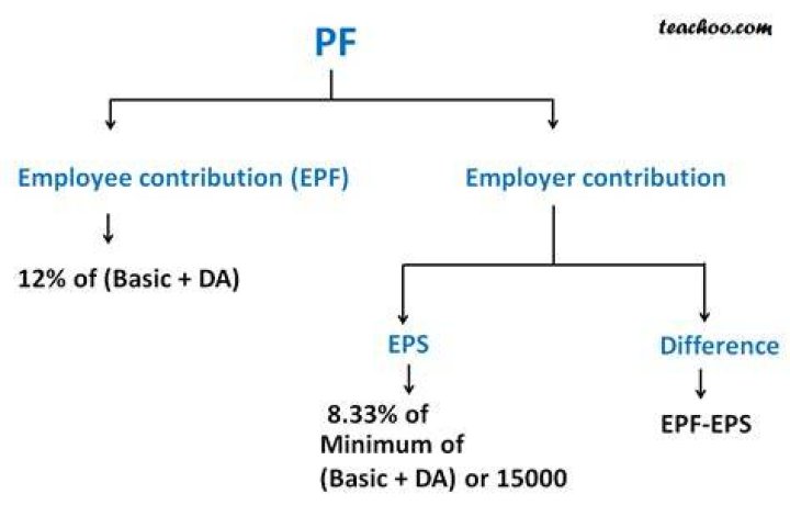 What is the maximum employer contribution?