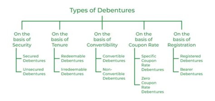 What is the meaning of debenture in share?