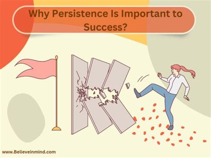 What is the meaning of persistence in business?