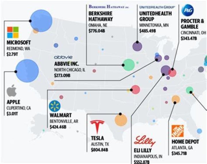 What is the meaning of publicly owned?
