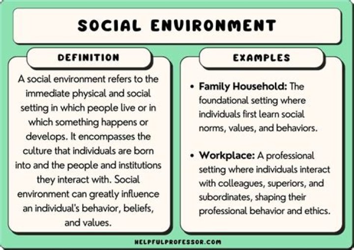 What is the meaning of social environment?