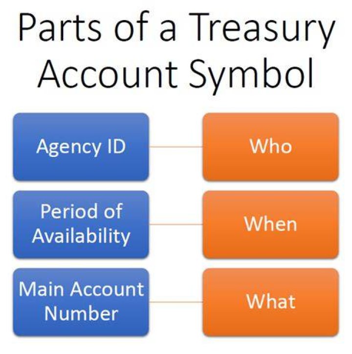 What is the meaning of Treasury account?