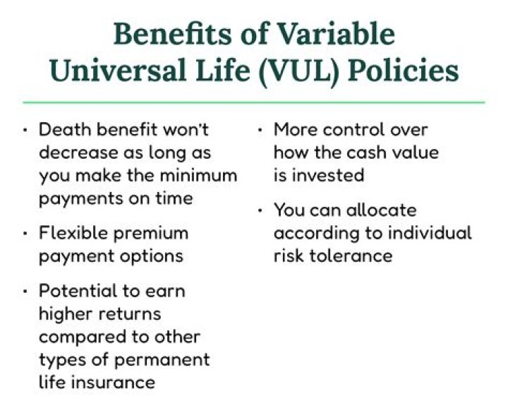 What is the meaning of Vul in insurance?