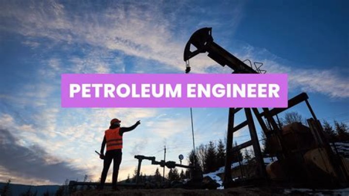 What is the nature of a petroleum engineer?