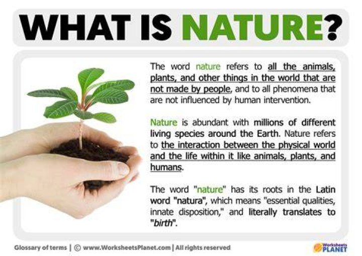 What is the nature of a pig?