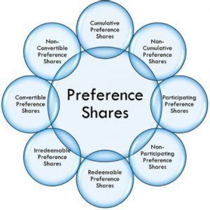 What is the nature of preference shares?