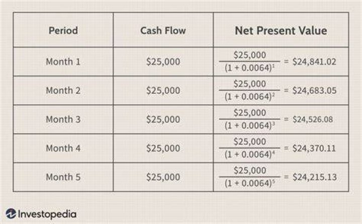 What is the NPV of the lease?
