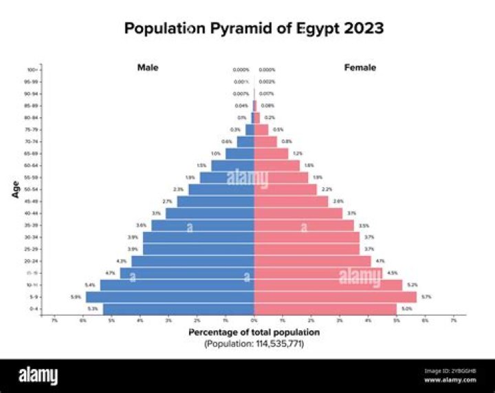 What is the population of Egypt 2020?