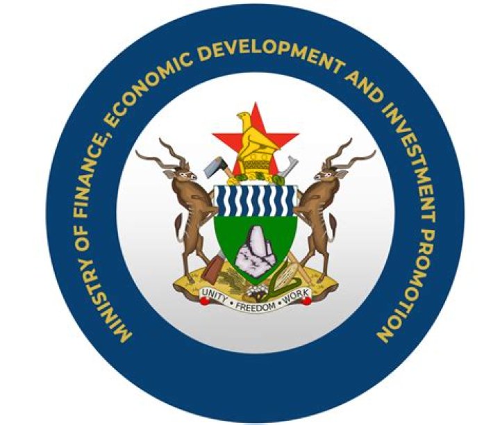 What is the primary function of the Ministry of Finance?