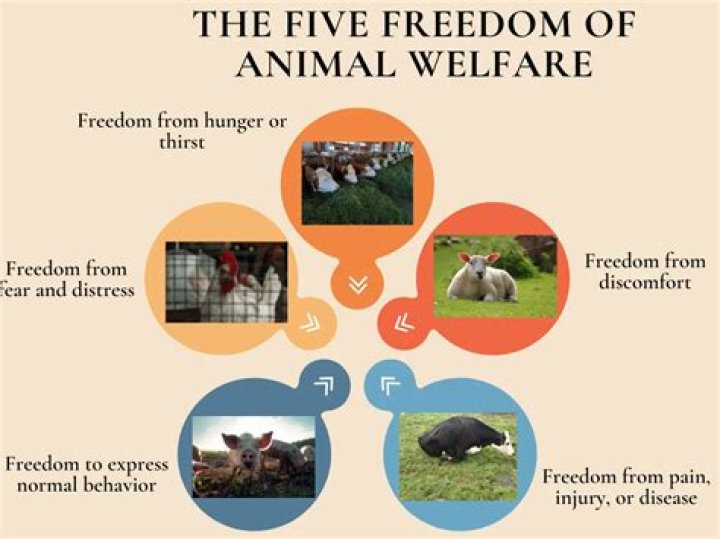 What is the problem with welfare?