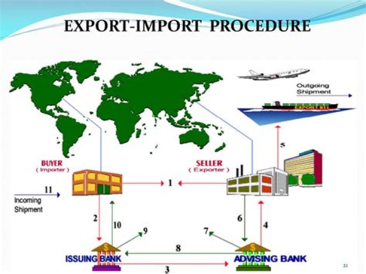 What is the procedure of export?