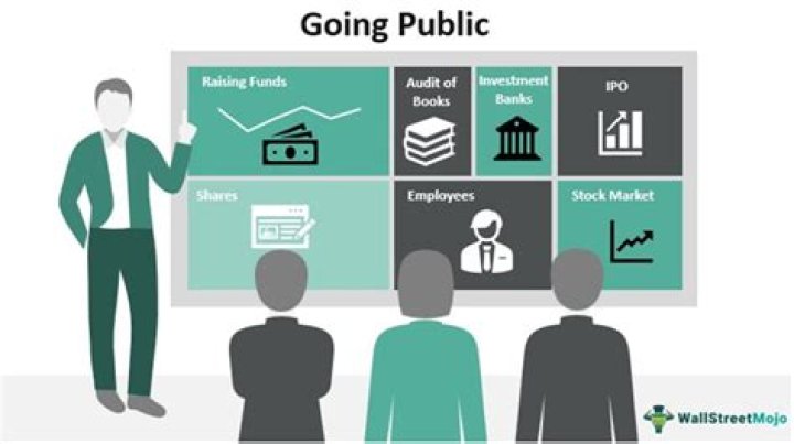 What is the process of a company going public called?