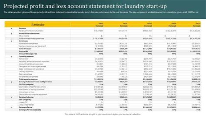 What is the profit margin for a laundromat?