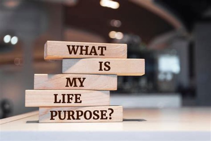 What is the purpose of a shop?