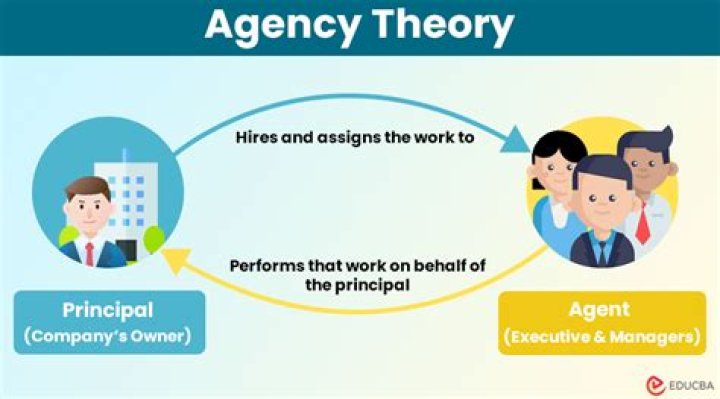 What is the purpose of agency theory?