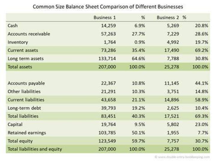 What is the purpose of common sized balance sheets and common sized income statements?