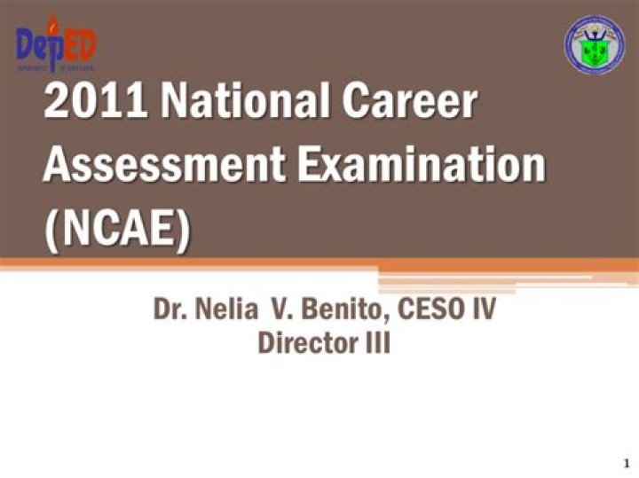 What is the purpose of National Career Assessment Examination?