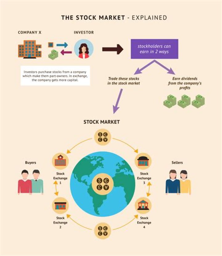 What is the purpose of stock market exchanges?