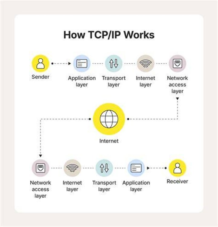 What is the purpose of TCP in networking?