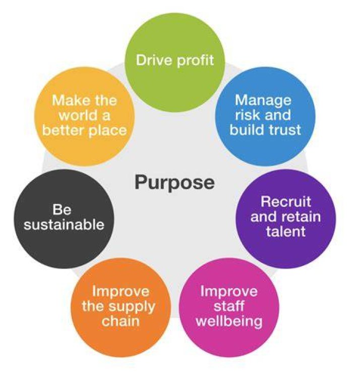 What is the purpose of your business trip?