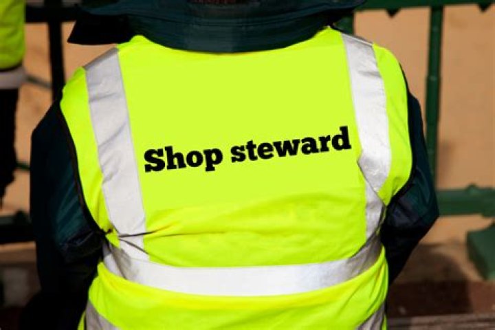What is the role of a shop steward?