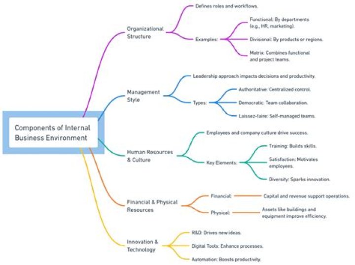 What is the role of business environment?