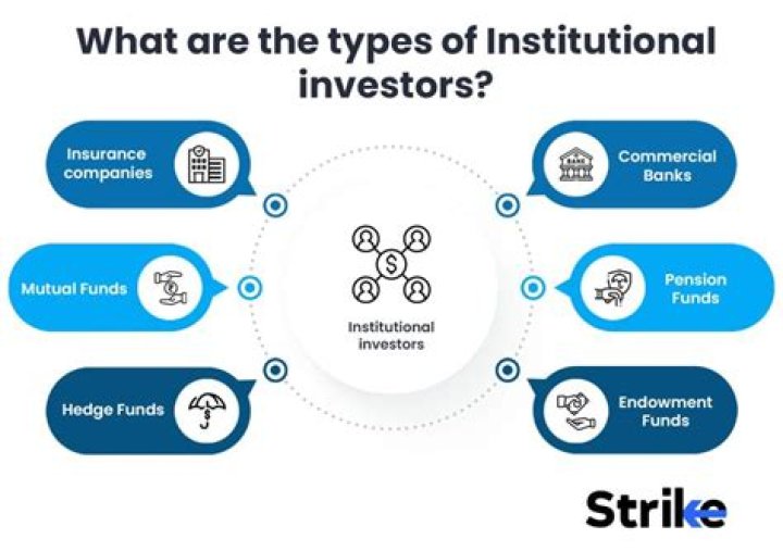 What is the role of institutional investors?